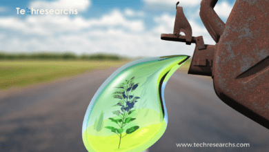 Biofuels and Sustainability